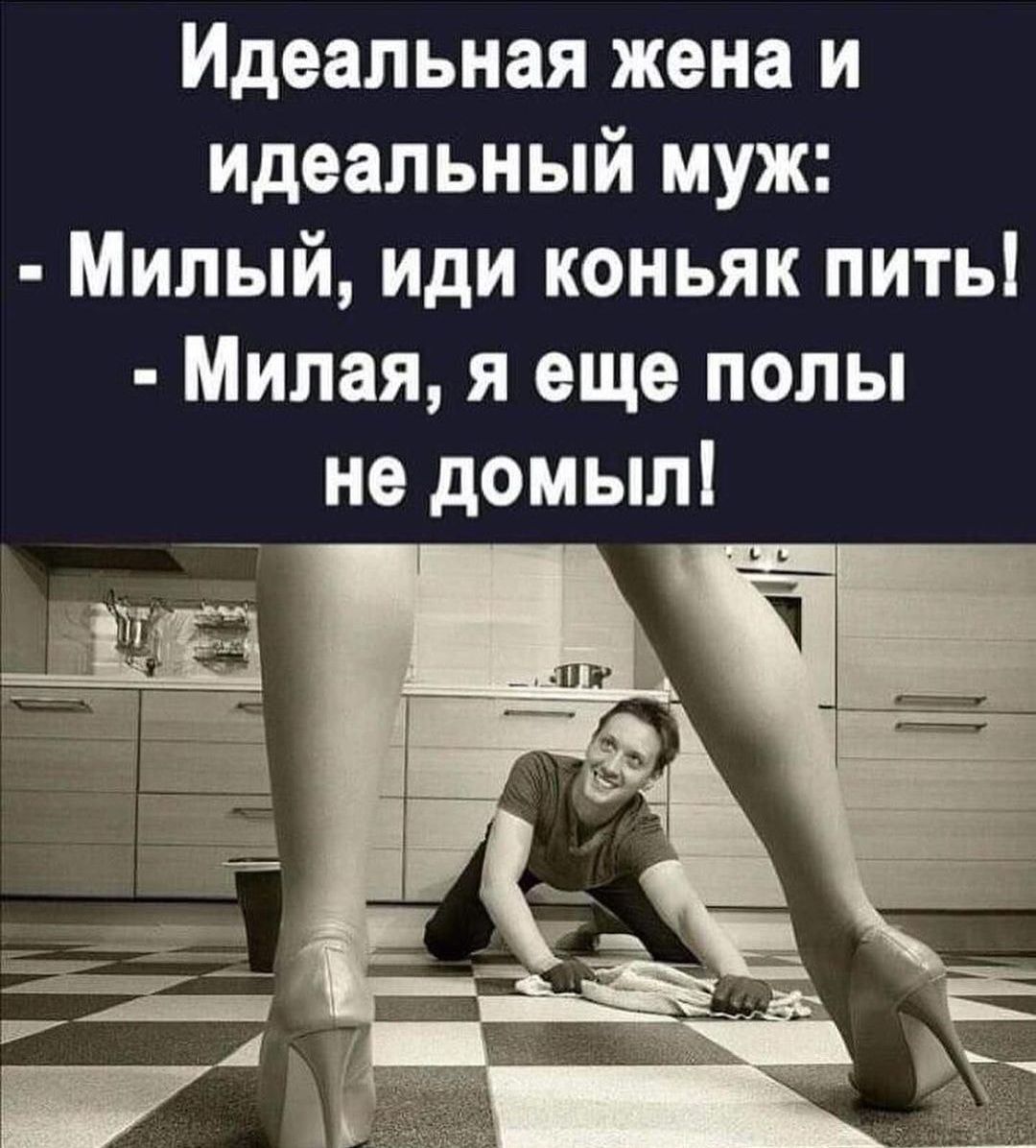 Идеальная жена и идеальный муж Милый иди коньяк пить Милая я еще попы не домыл