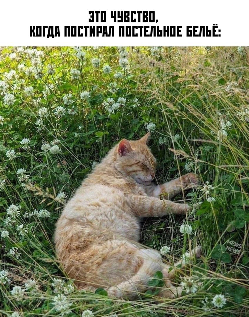 ЕПП ЧНВБТВП