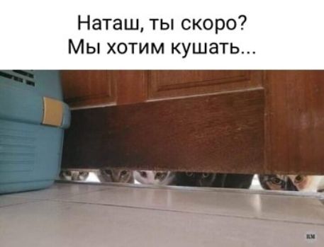 Наташ ты скоро Мы ХОТИМ КУШЭТЬ