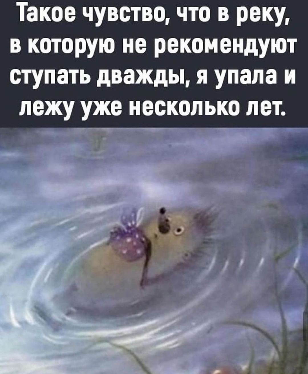 Такое чувство что в реку в которую не рекомендуют ступать дважды я упала и лежу уже несколько лет