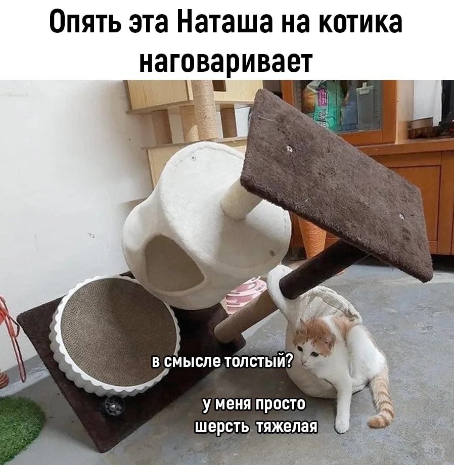 ОПЯТЬ эта Наташа на КОТИКЭ НЗГОВЗРИВЗЕТ у меня прост шерыь гяжепая 4