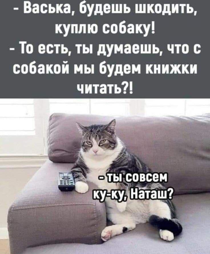 Васька будешь шкоднть куплю собаку То есть ты думаешь что с собакой мы будем книжки читать