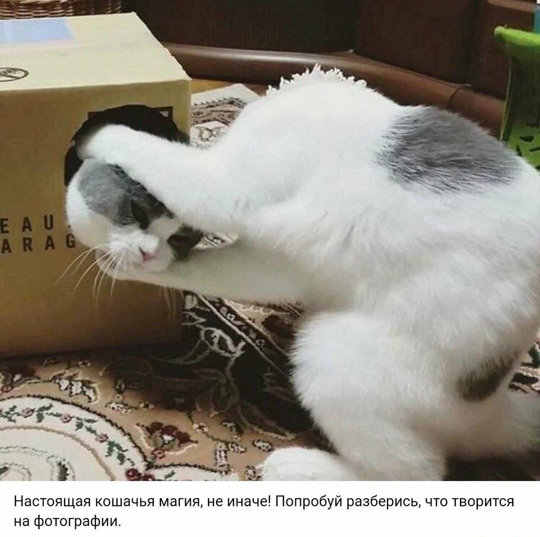 Настапщзя сшачь ямагияжеинвче в и а ись натототзшии Р у Р Б Р щ