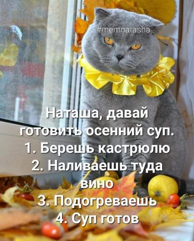 давай __ сенНий суп