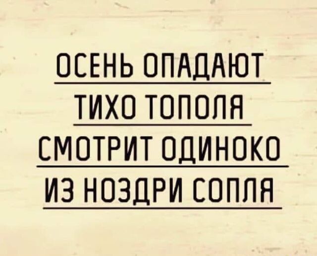 ОСЕНЬ ОПАДАЮТ ТИХО ТОПОПЯ СМОТРИТ ОДИНПКО ИЗ НОЗДРИ СОПЛН