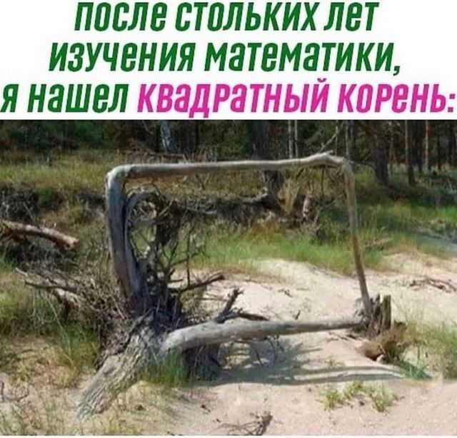 ППБЛВ ВТПЛЬКИХ ЛЕТ ИЗУЧЕНИЯ МЗТЕМЗШКИ Н8Ш8Л