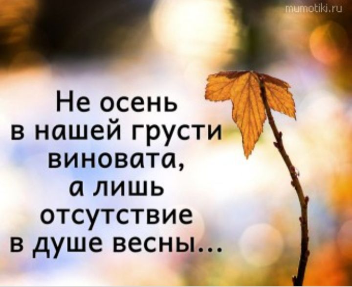 Не осень в нашей грусти виновата а лишь отсутствие в душе весны