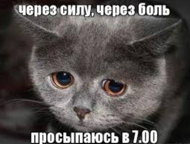 ппоЬыпаюсь 100