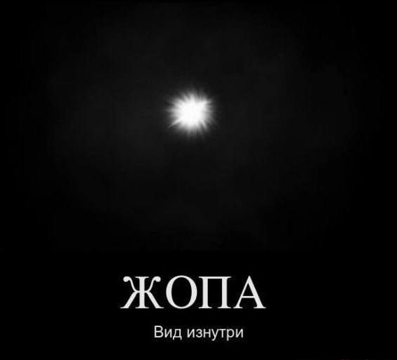ЖОПА Вид изнутри