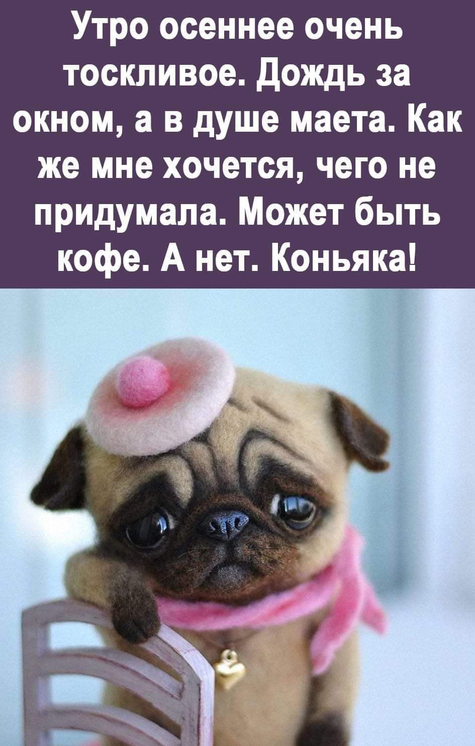 Утро осеннее очень тоскливое дождь за окном а в душе маета Как же мне хочется чего не придумала Может быть кофе А нет Коньяки