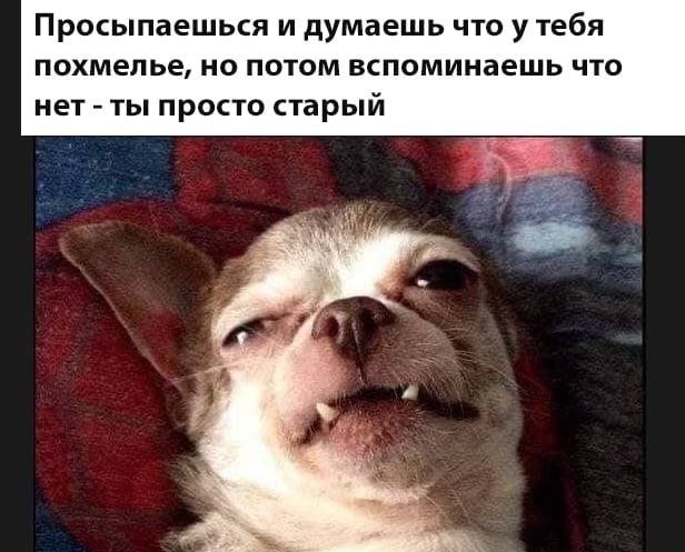 Просыпаешься и думаешь что у тебя похмелье но потом вспоминаешь что нет ты просто старый