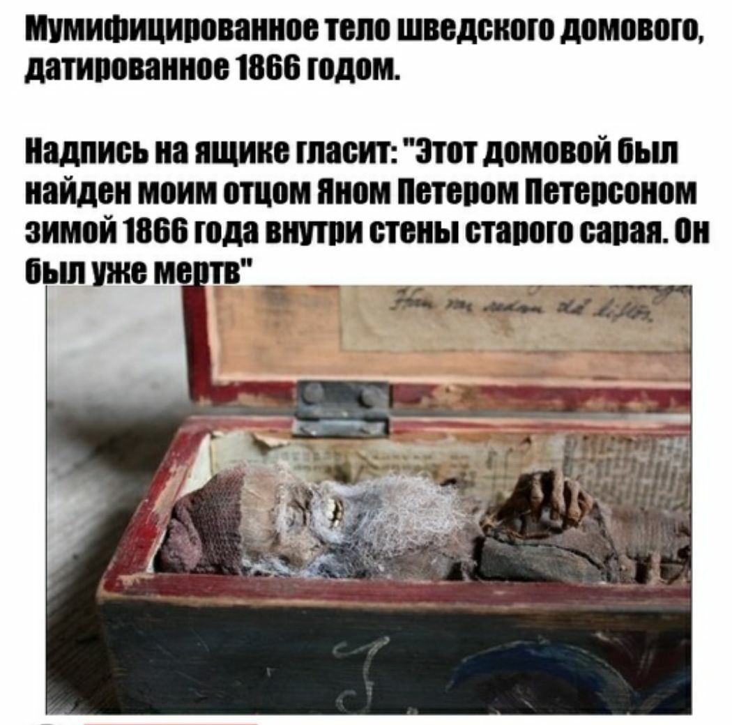 Шиаипииииим топ шедшим пишиш тирании отошли Ищпись и пиши ниш ппт линий ньш иайдои тии пшли иили птиц птпвпппи иипй ШМ шли попы типа или