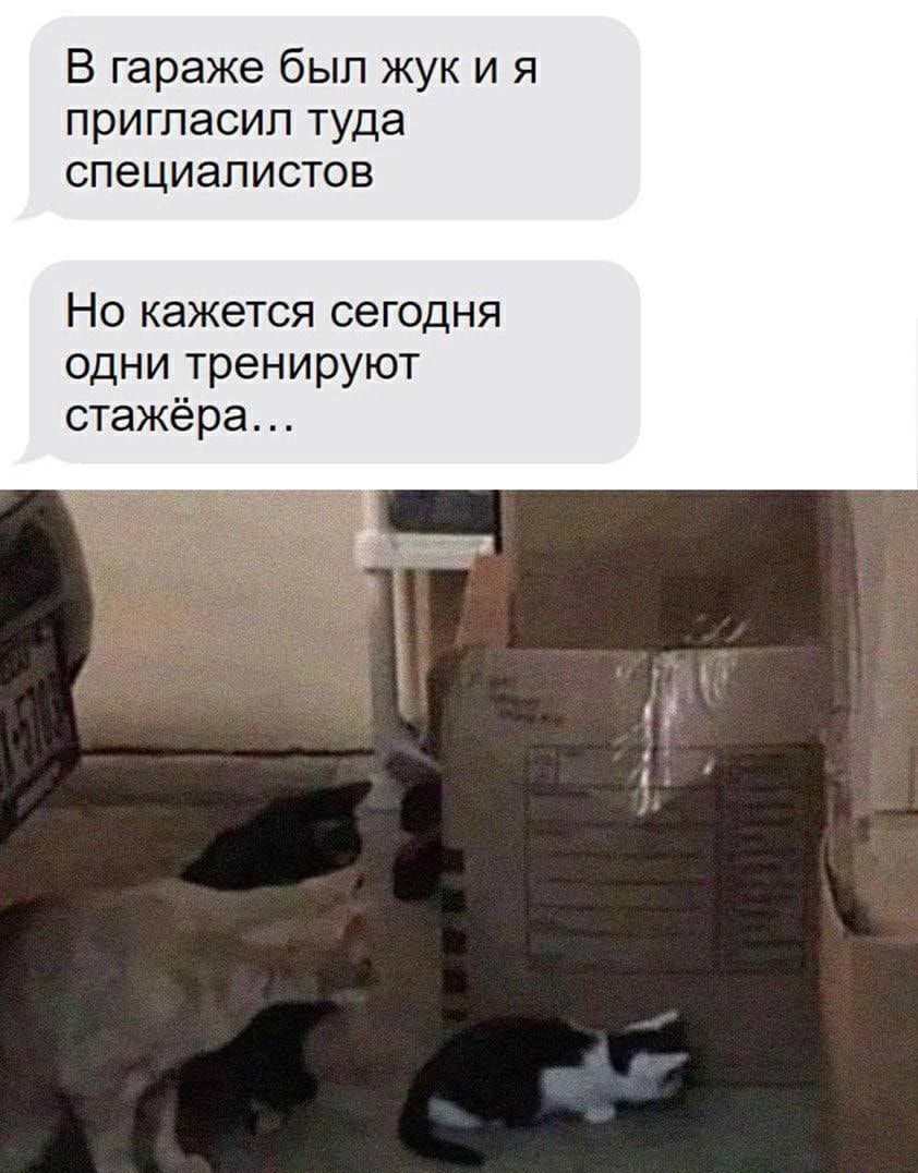 В гараже был жук и я ПрИГПЭСИП туда специалистов Но кажется сегодня одни тренируют стажёра