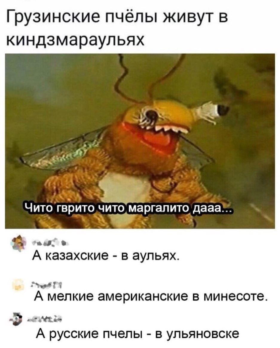 Грузинские пчёлы живут в киндзмараупьях Чито гврито ЧйтЬТмаргапито дааа А КЗЗЗХСКИЭ В ЗУПЬЯХ А мелкие американские В минесоте ь _д а А русские пчелы в упьяновске