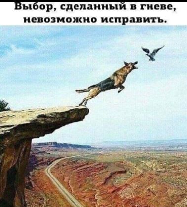 ВыЁор сделанным в гневе невозможно исправить