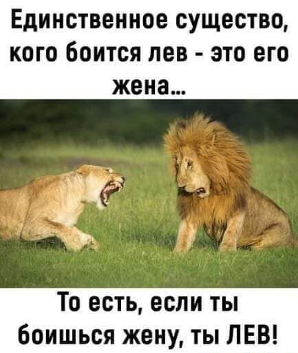 ЕДИНСТВЕННОО СУЩЕСТВО КОГО ООИТОЯ ПОВ ЗТО ЕГО жена То есть если ты боишься жену ты ЛЕВ