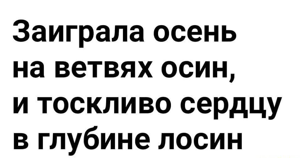 Заиграла осень на ветвях осин и тоскливо сердцу в глубине лосин