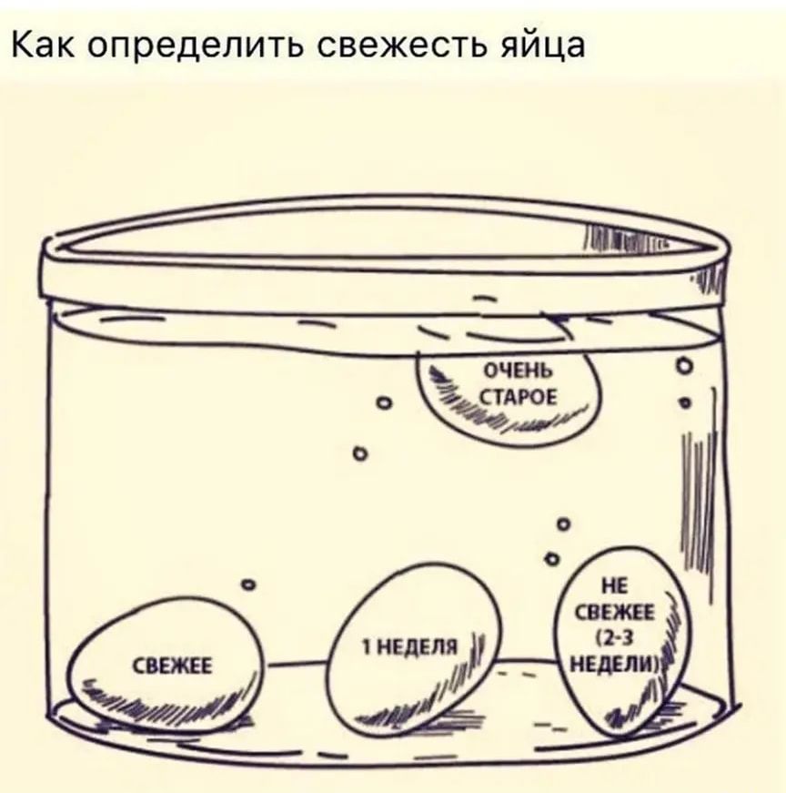 Как определить свежесть яйца