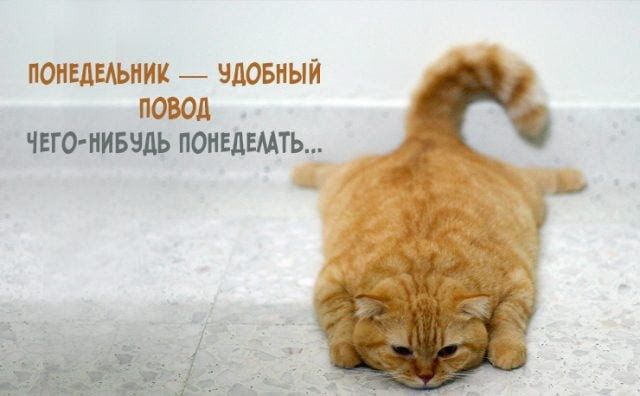 ПОНЕДЕАЬНИИ ЧДОБИЫЙ ПОВОД ЧЕГОШБЧДЬ ПОНЕДЕМТЬ _ Чп Гр