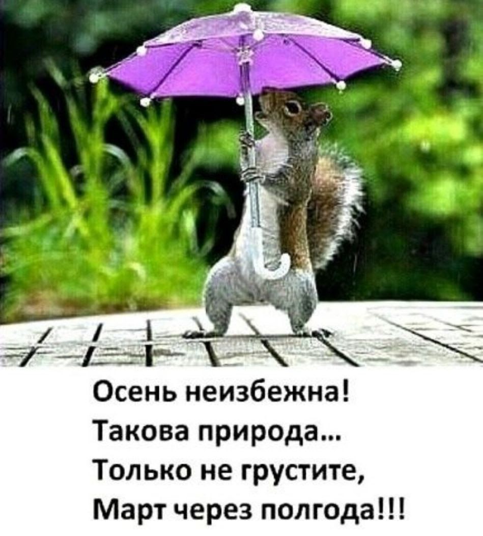 Осень неизбежна Такова природа Только не грустите Март через полгода