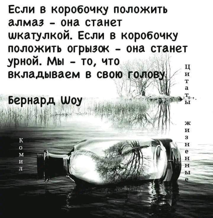 Если в коробочку положить алмаз она станет шкатулкой Если в коробочку положить огрызок она станет уриой Мы _ то что вкладываем в свою года Бернард Шоу тн