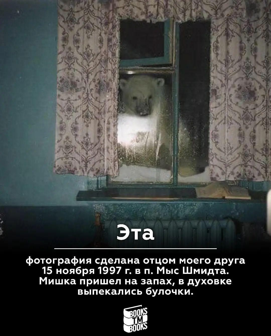 Эта фотография сделана ощои моего дрУга 15 ноября 1997 г и и Мы Шмидта Мишка пришел на запах в духовке ныпекапись булочки
