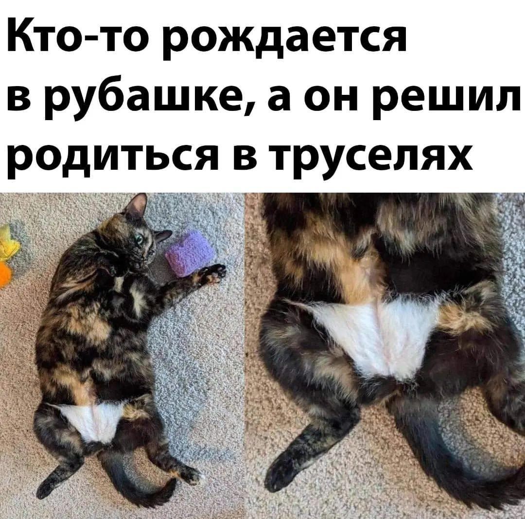 Кто то рождается в рубашке а он решил родиться в труселях