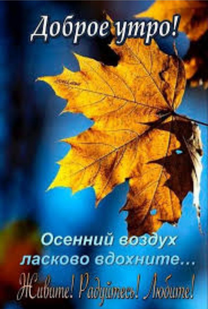 ДоброеХуэ А Осеннии воз ух ласково вдг ч ше Жинкин Здбіщьн Ё