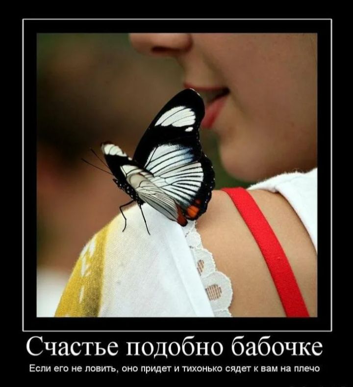 Счастье подобно бабочке пилить приди и тиши щц