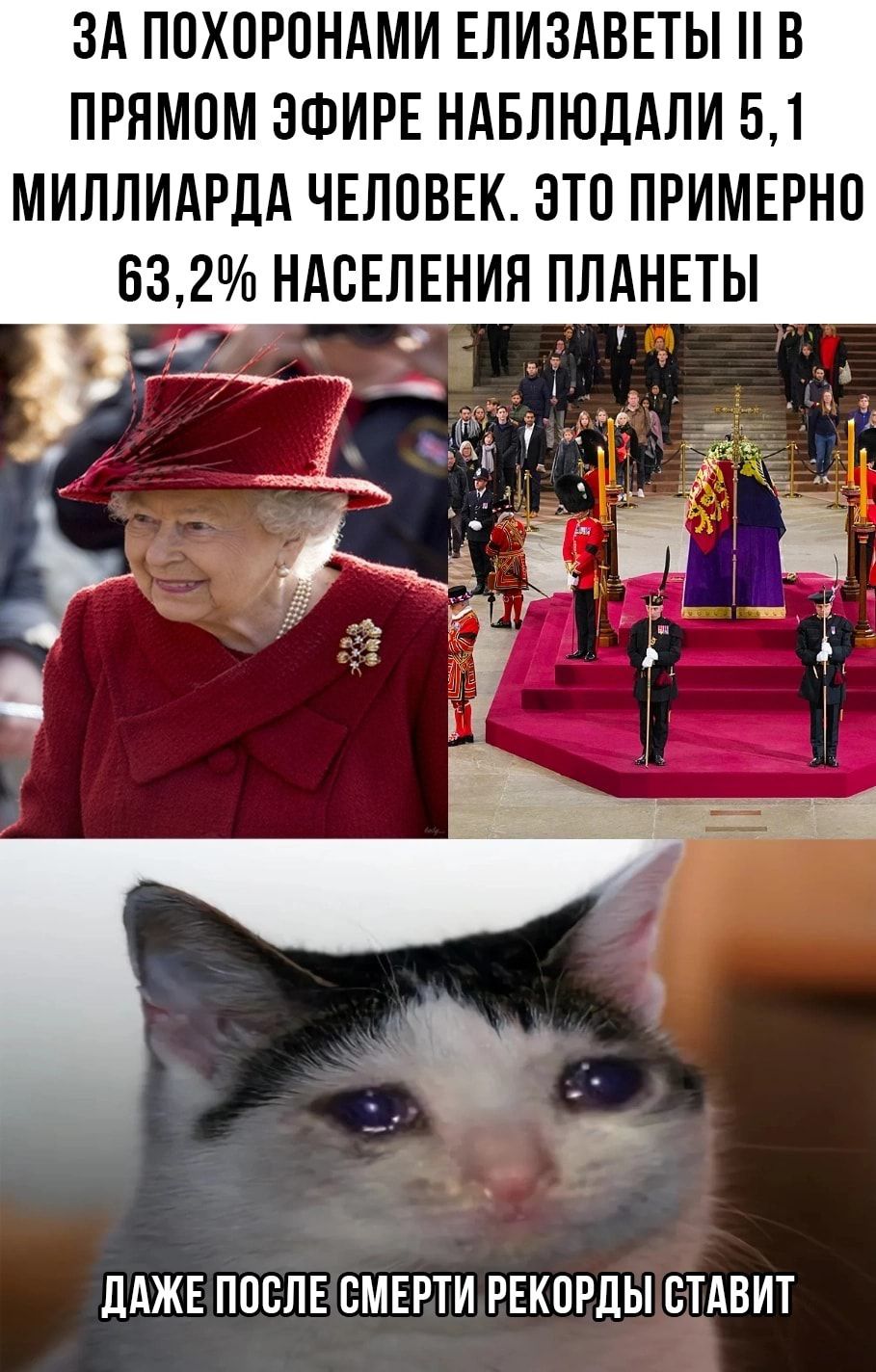 ЗА ПОХПРПНАМИ ЕЛИЗАВЕТЫ В ПРЯМОМ ЭФИРЕ НАБЛЮЛАЛИ 51 МИЛЛИАРДА ЧЕЛОВЕК ЭТО ПРИМЕРНП 63 2 НАСЕЛЕНИЯ ПЛАНЕТЫ дАЖЕ ПОСЛЕ СМЕРТИ РЕКОРДЫ СТАВИТ