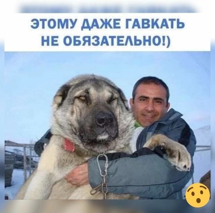 этому мжг гАвКАть НЕ ОБЯЗАТЕАЬНО