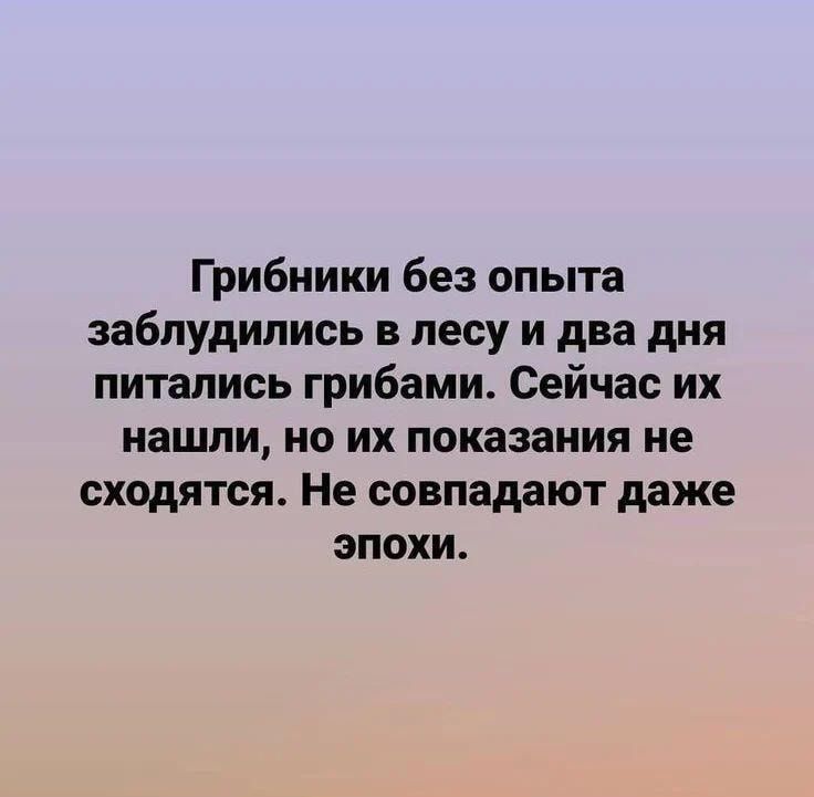 Грибиики без опыта заблудились в лесу и два дня питались грибами Сейчас их нашли на их показания не сходятся Не совпадают даже эпохи