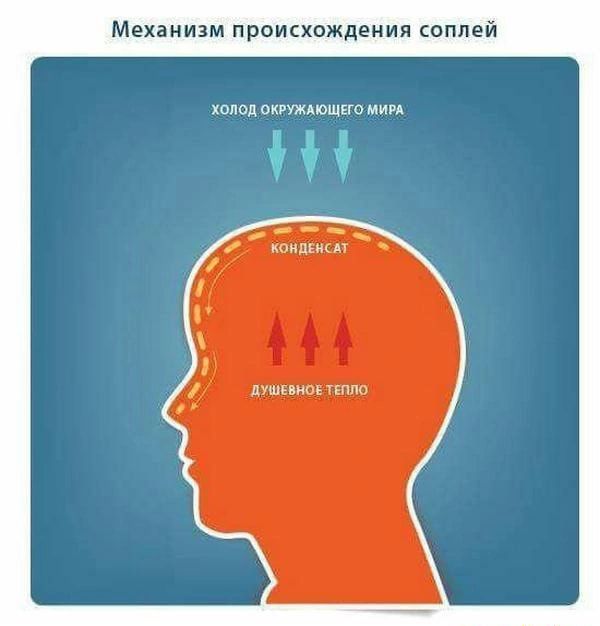 4 мы тишина мт мш