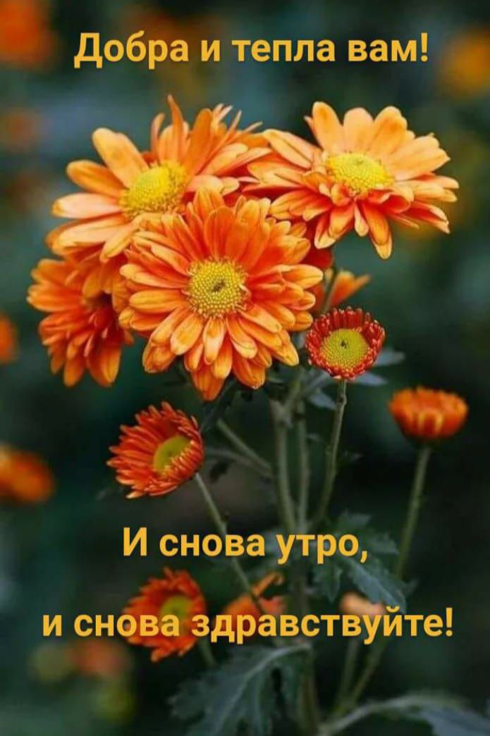 Добра и тепла вам И сновалутро и сновб здрёвстЫйте