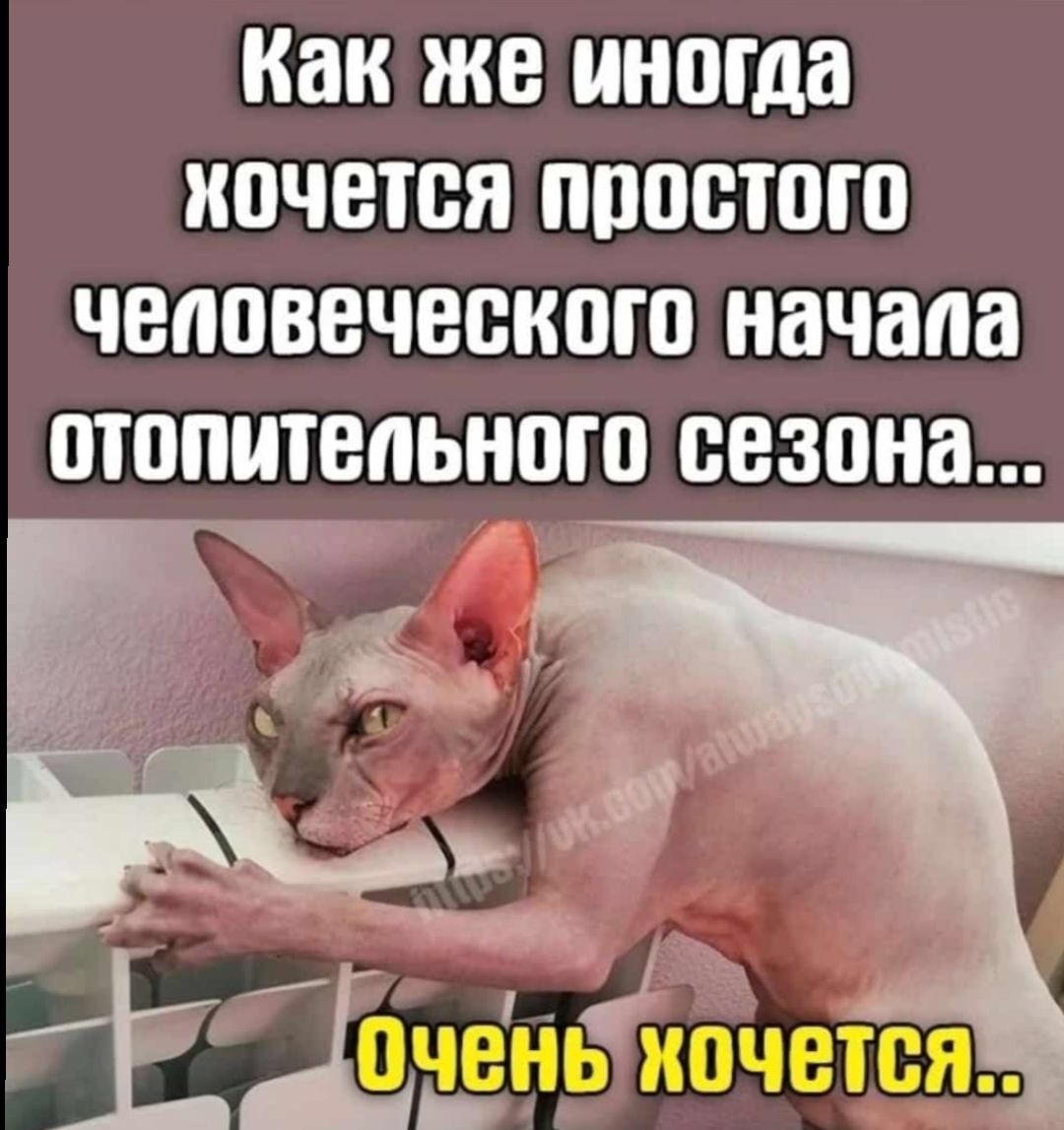 Как же иногда иочвтся прощаю человеческого начала отопительного сезона