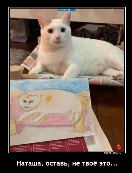 Наташа оставь не твоё это