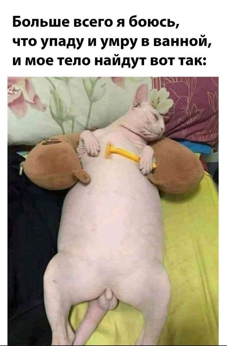 Больше всего я боюсь что упаду и умру в ванной и мое тело найдут вот так
