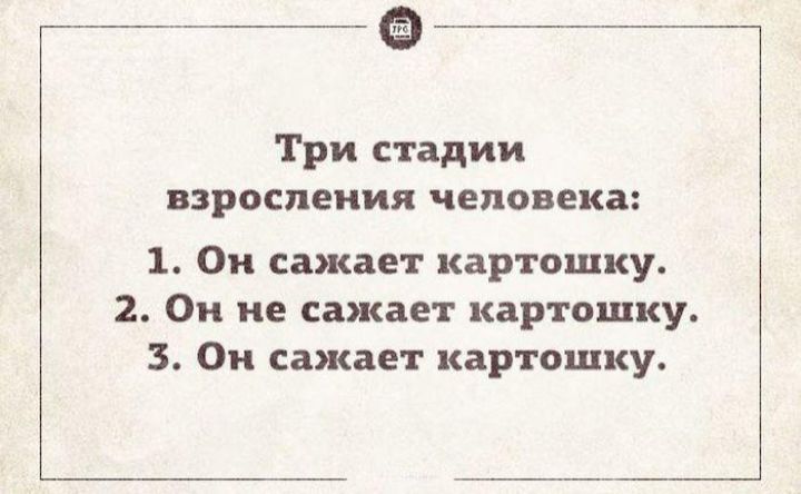 _____________ _ __ ___7 Три стадии взросления человека 1 Он сажает картошку 2 Он не сажает картошку 3 Он сажает картошку