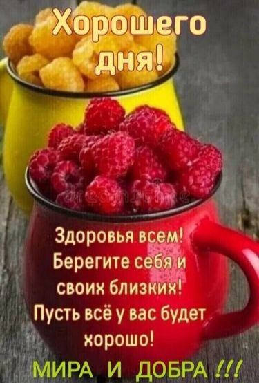 своих близ Пусть всё у вас будет хорошо ИРА и дожи