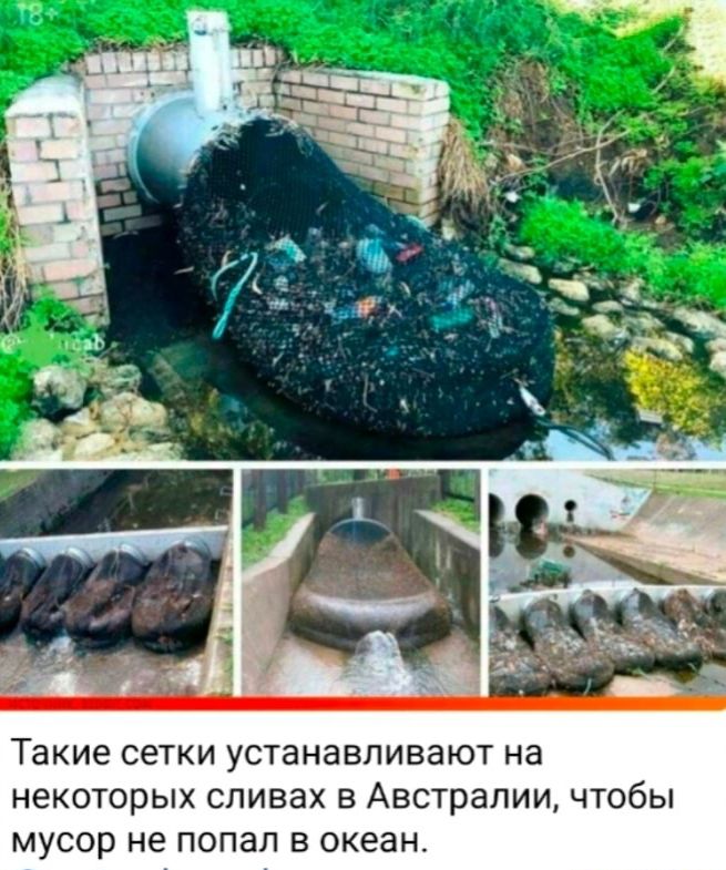 Такие сетки устанавливают на некоторых спинах в Австралии чтобы МУСОР не попал В океан