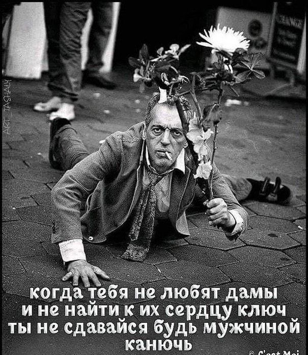 когда тебя не любят дамы и не найти_к их сердцу ключ ты не сдаваися будь мужчиной каиючь сшмпъ