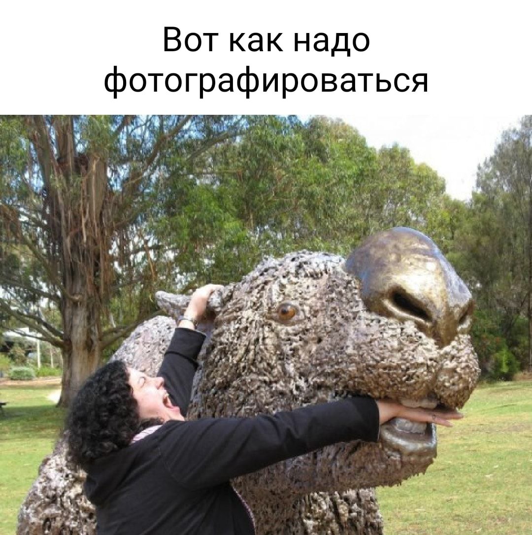 Вот как надо фотографироваться
