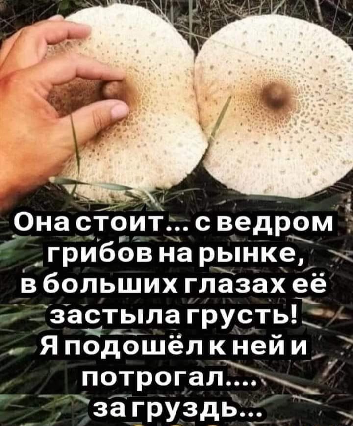 с ведром грибов на рынке _ в больших глазах её застыла грустьГ Я подошёл к ней и потрогал 7_ ЗЗГРХЗАЬ Она стои