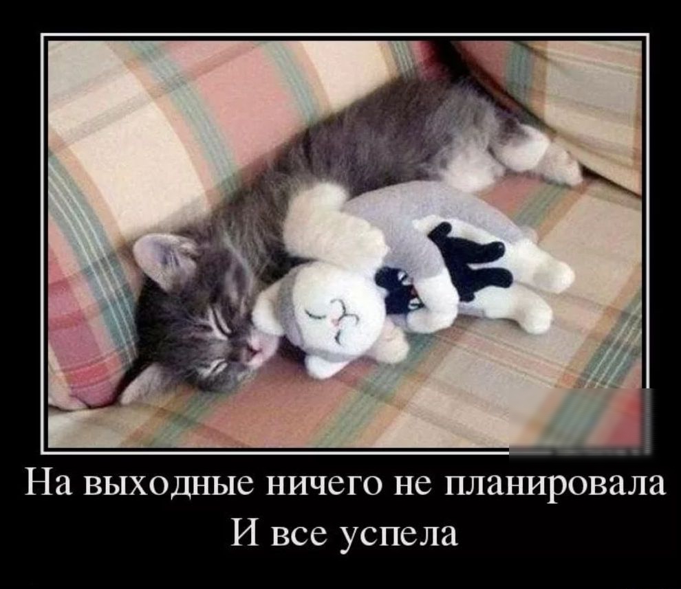 На выходные ничего не планировала И все успела