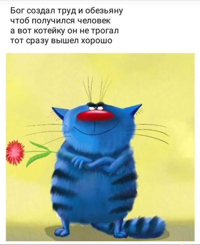 Бог создал труд и обезьяну тоб получился человек а вот котейку он не трогал тот сразу вышел хорошо