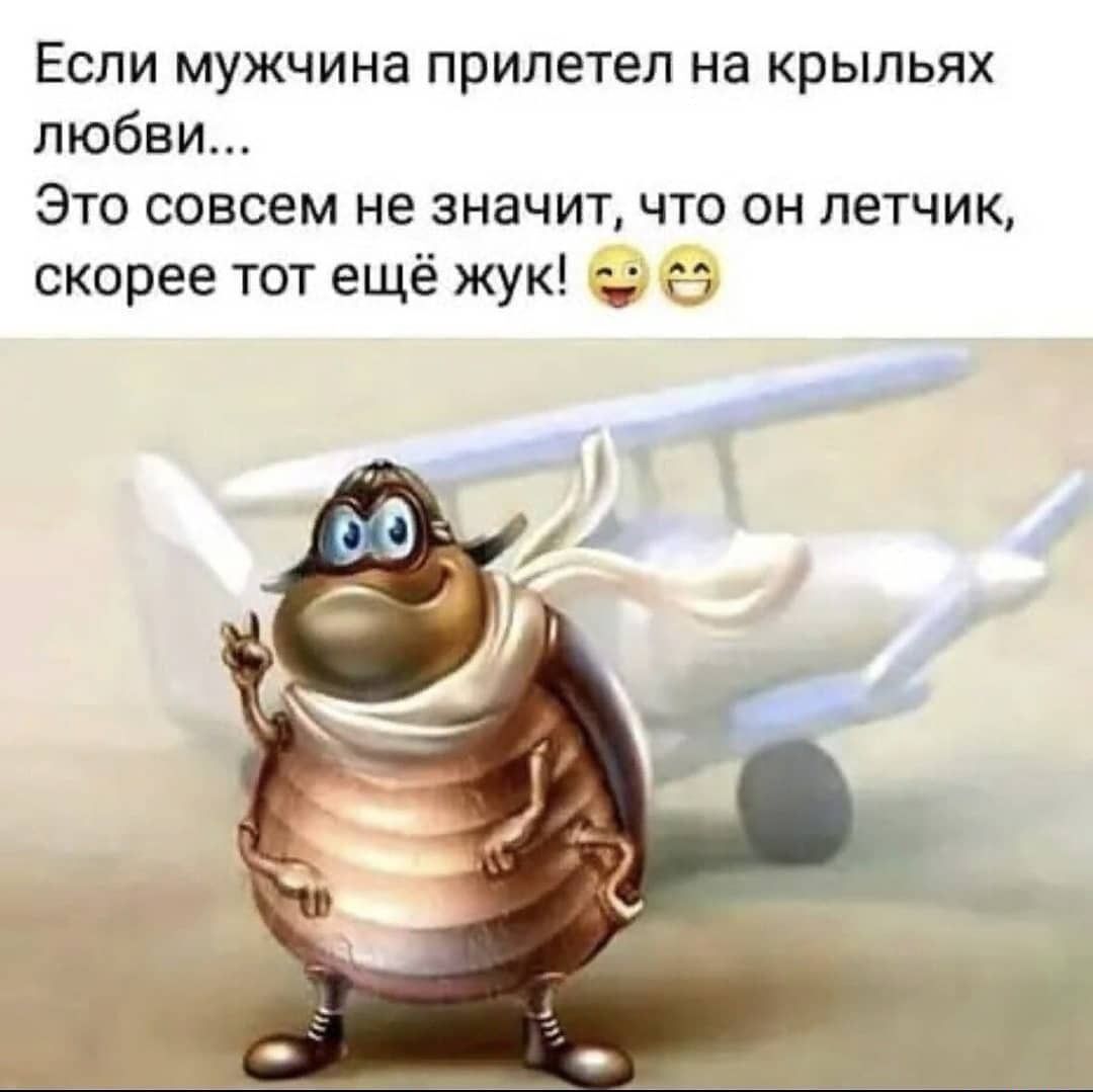 ЕСЛИ мужчина прилетел на крыльях любви Это совсем не значит что он летчик скорее тот ещё жук