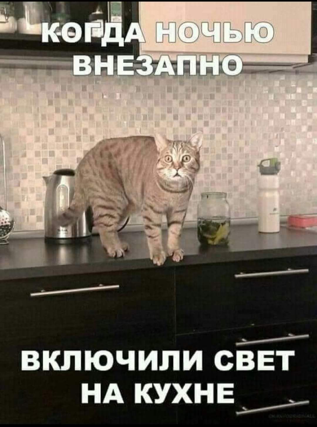 включили СВЕТ НА кухне