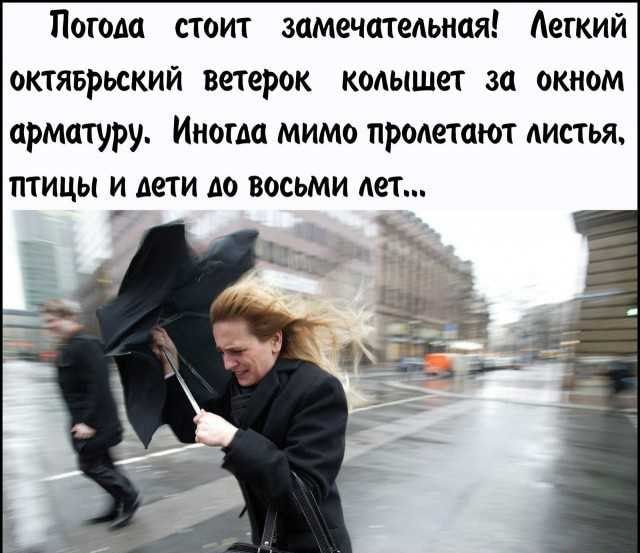 Потом стоит замечательная Легкий октяврьский ветерок колышет за окном арматуру Иногда мимо пролетают листья тицы и дети до восьми лет