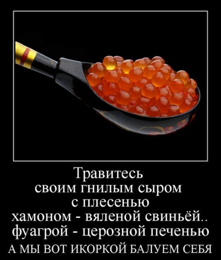 Травитесь СВОИМ ГНИЛЫМ СЫРОМ с плесенью хамоном вяленой свиньёй фуагрой церозной печенью А мы вот икоркой БАЛУЕМ СЕБЯ