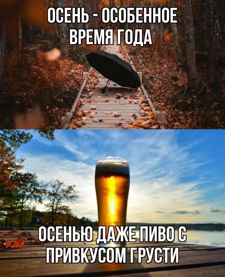 псвнь ЁЁПЁЕЦЬЪЕ ввемщоёдд